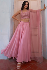 Light Pink Designer sharara style inspired dress on pure georgette with detailed mirror, thread, hand embellished work